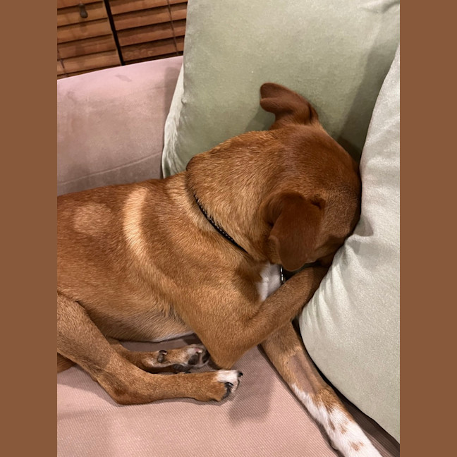 Photo of Diggie Smalls