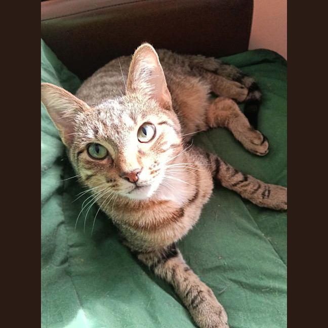 Photo of Lydia 