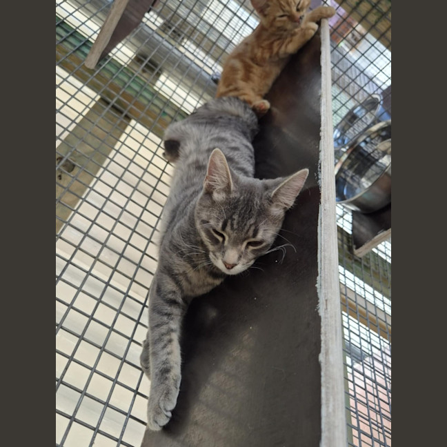 Photo of Autumn! 🍁