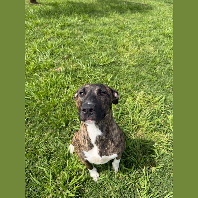 Photo of Lila 