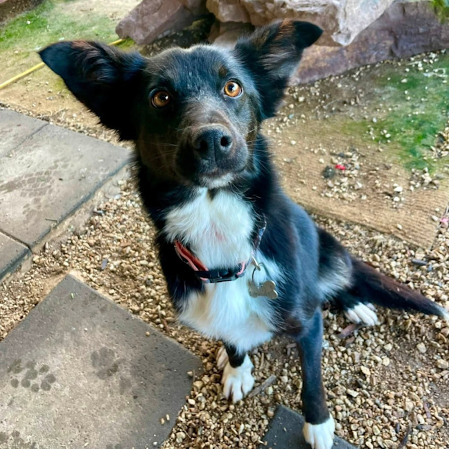 Photo of Milly