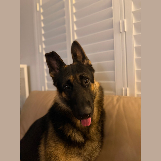 Photo of Tank