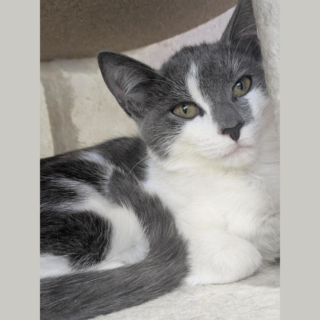 Photo of 🎀 Micah 6922 🎀