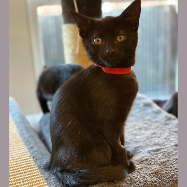 Photo of ❤️ Ravi ❤️