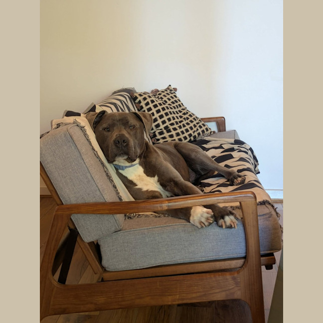 Photo of Diesel