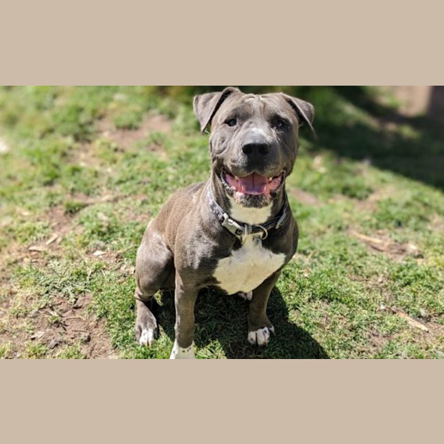 Photo of Tinker