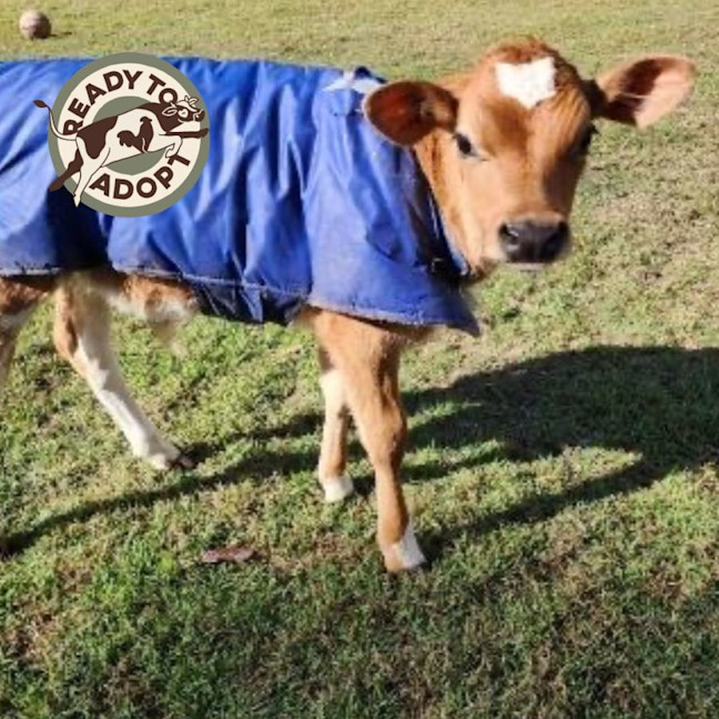 Photo of Moe, Hartley, And Harry