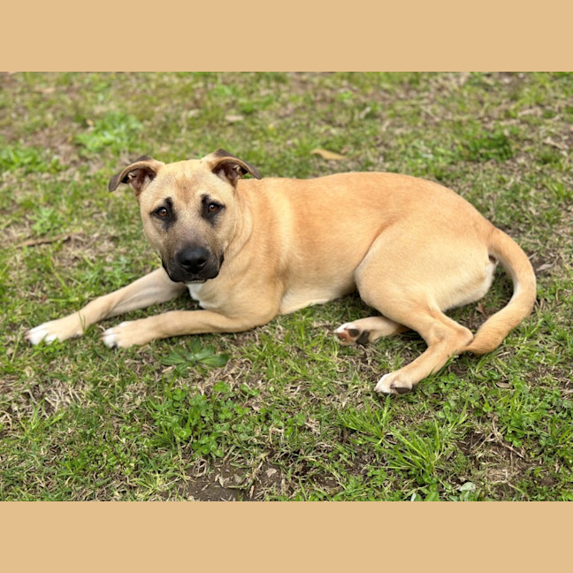 Photo of Willow