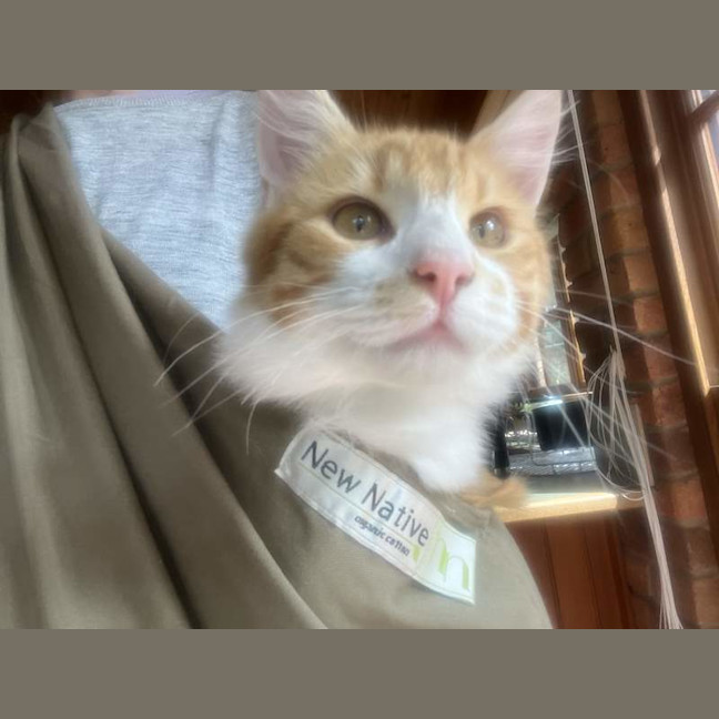 Photo of Boho