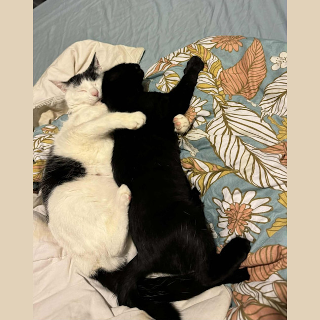 Photo of Frank   Located In Preston