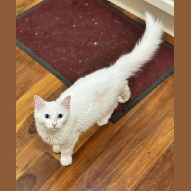Photo of Duchess