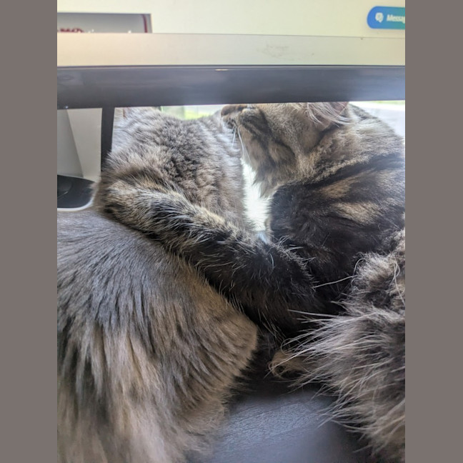 Photo of Wax & Wayne