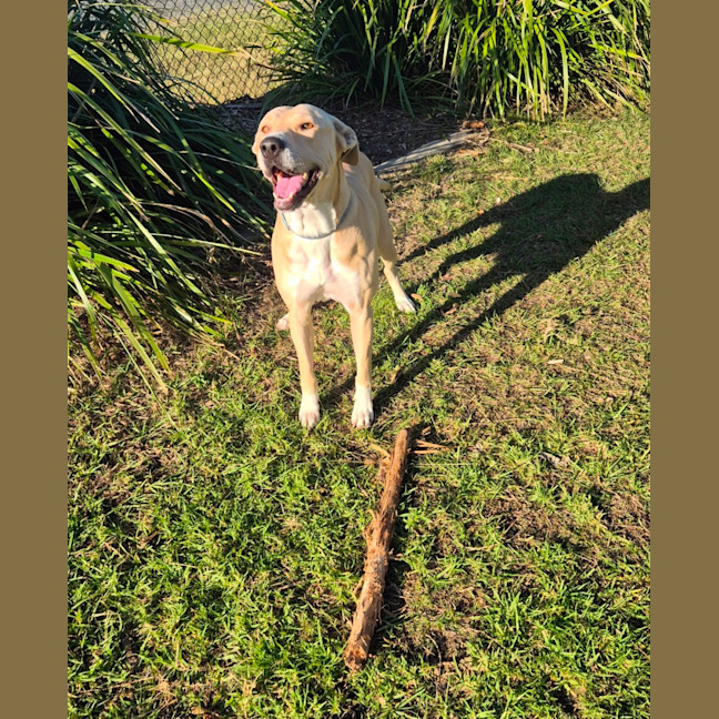 Photo of Narla (8063)