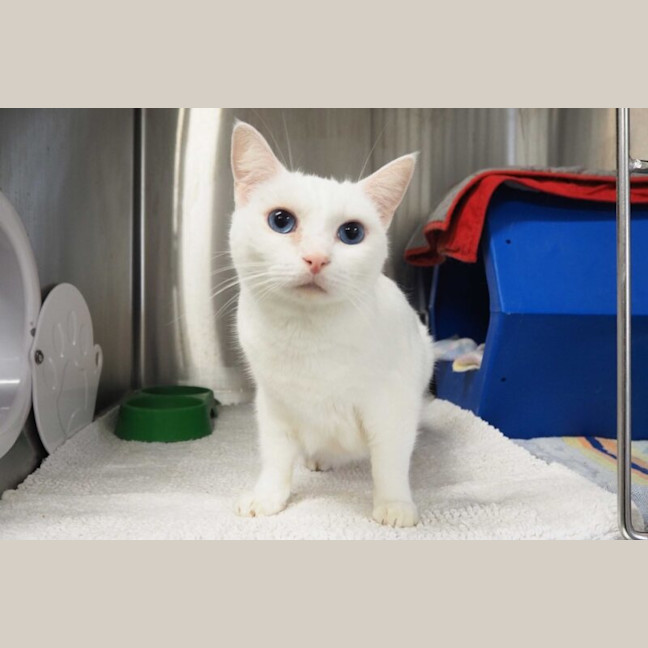 Photo of Mr Tony Now Tofu