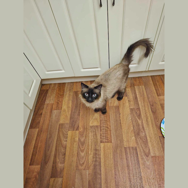 Photo of Oscar