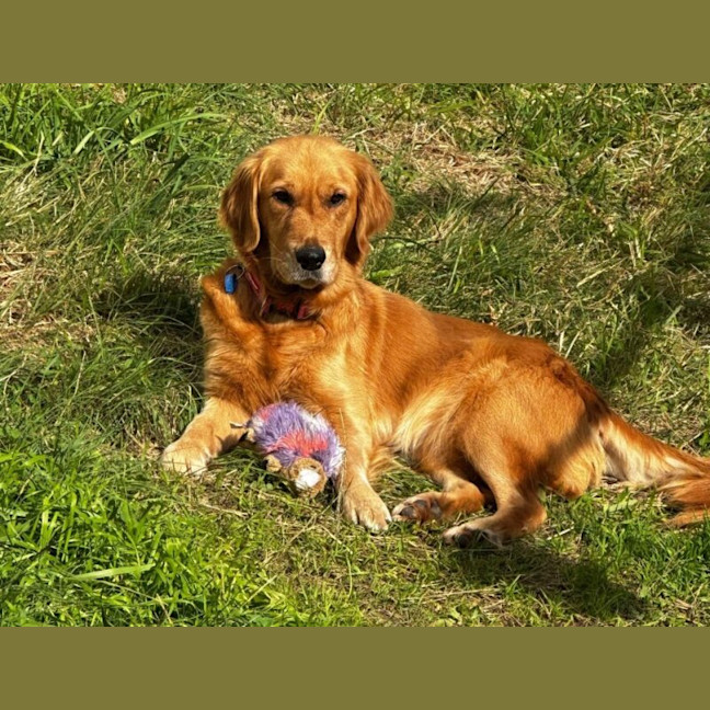 Photo of Missy