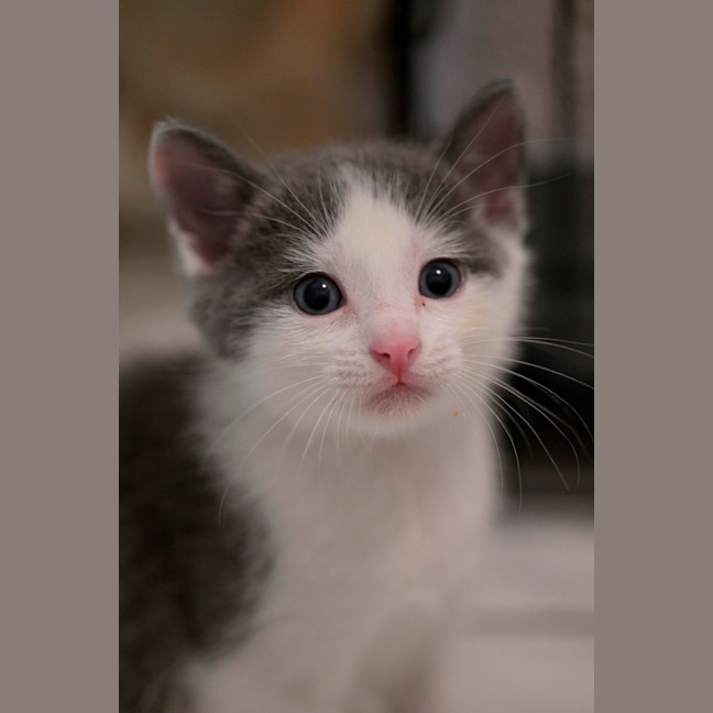 Photo of 💙 Concrete 🤍