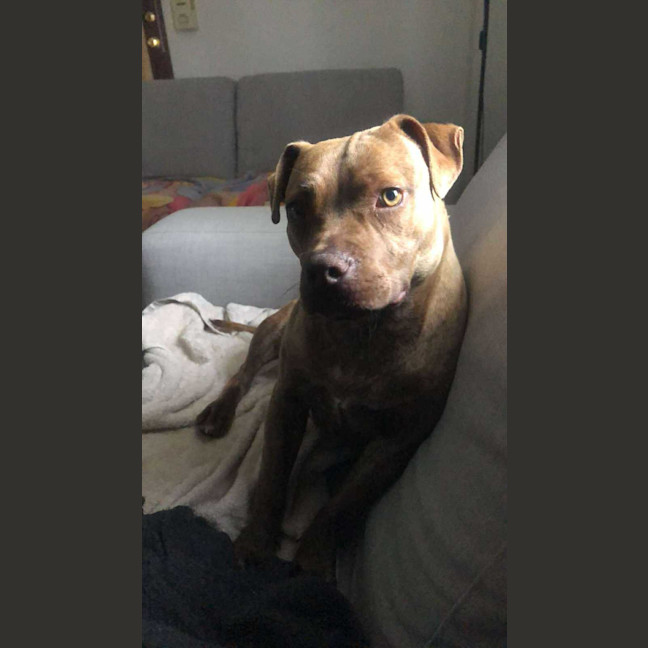 Photo of Milly
