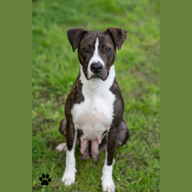 Photo of Sally