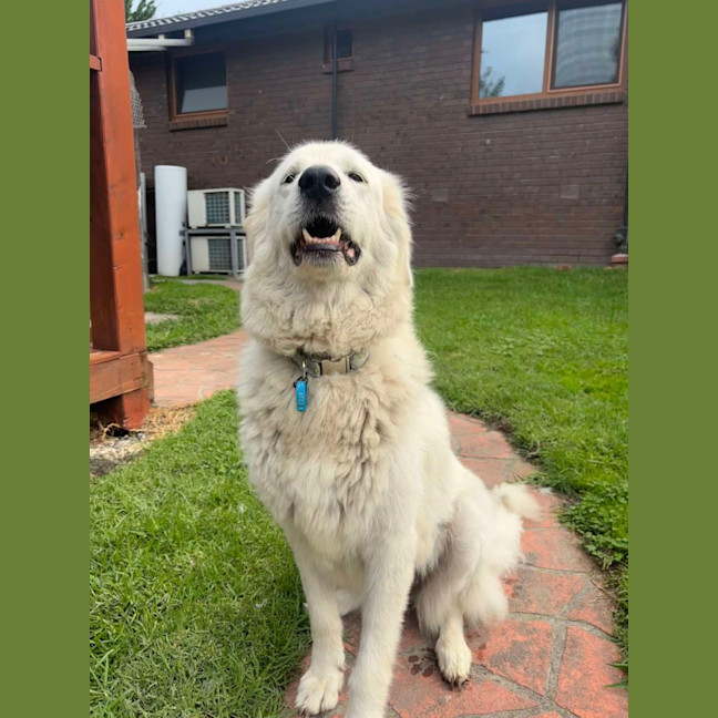Photo of Nellie