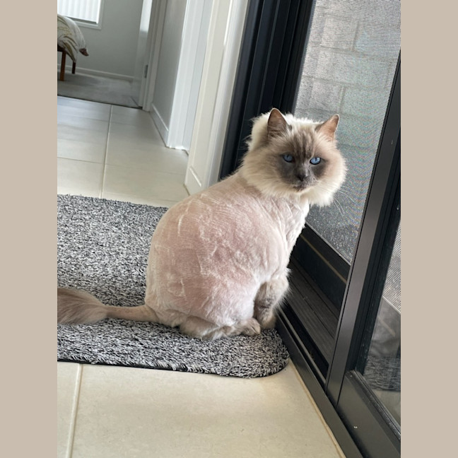 Photo of C1344 Chloe