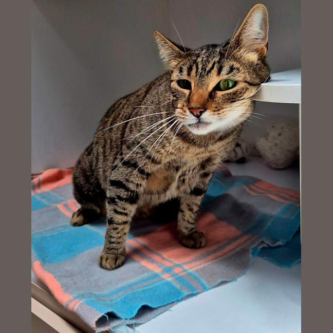 Photo of Linda (6749)