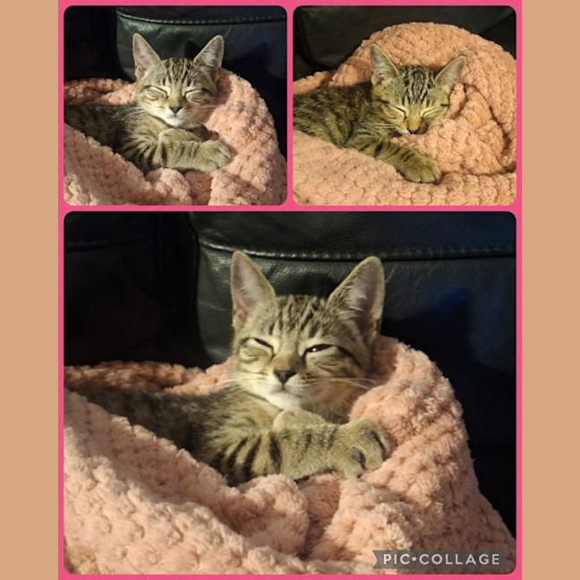 Photo of Hazel