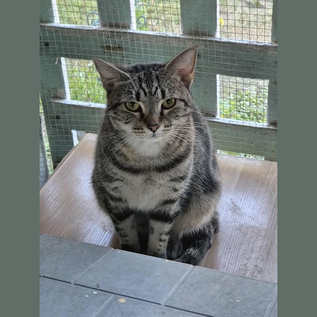 Photo of Storm