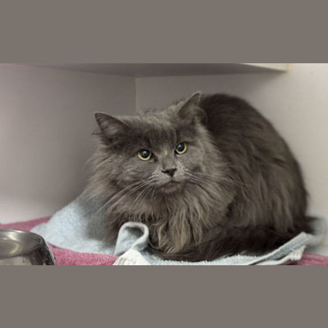 Photo of Libby