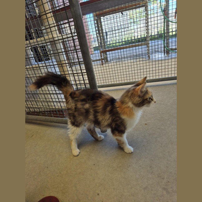 Photo of Maree! 🎀