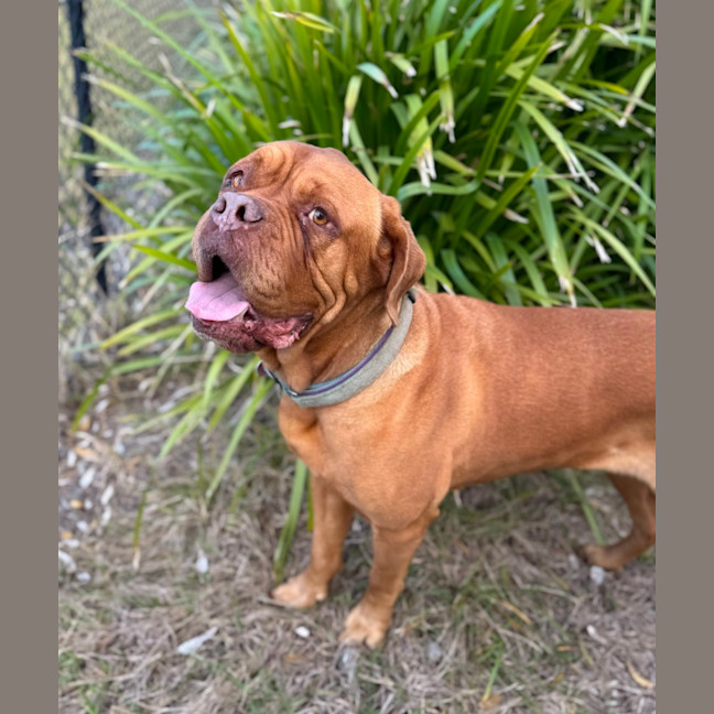 Photo of Lilly (7072)