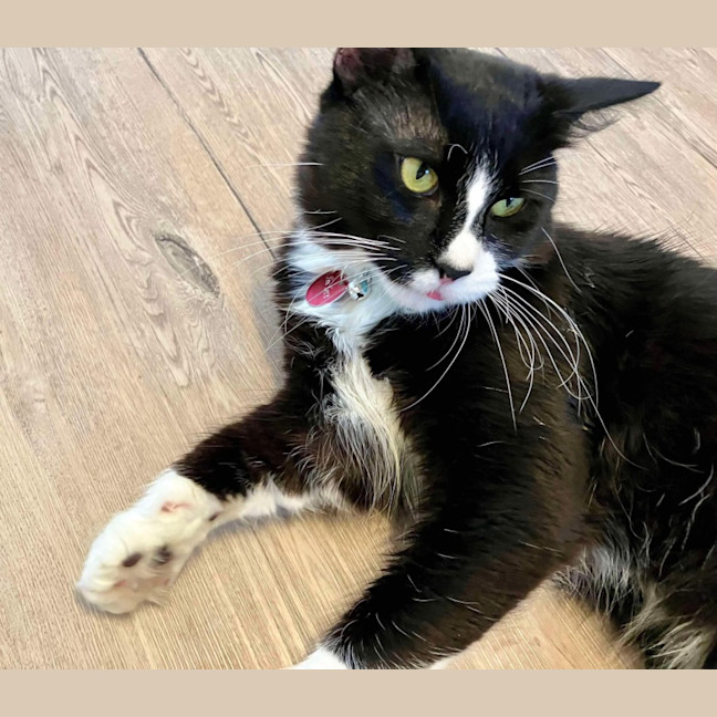 Photo of William & Washington