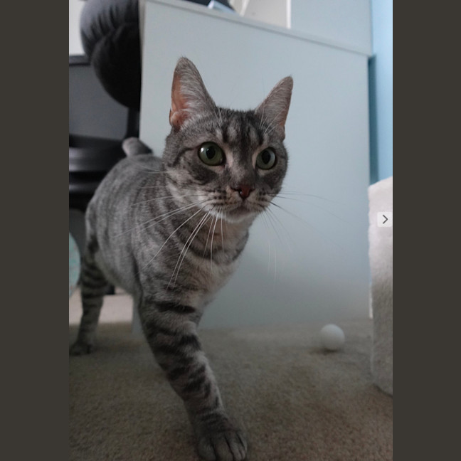 Photo of Kiara