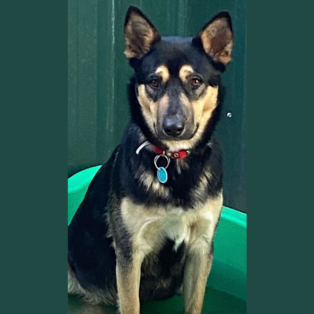 Photo of Elsa