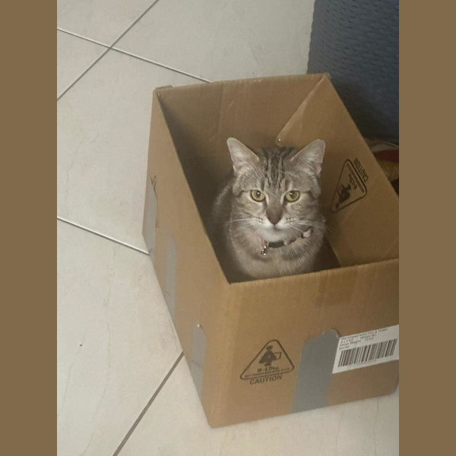 Photo of Angel