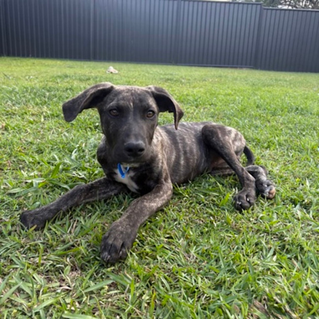 Photo of Thor