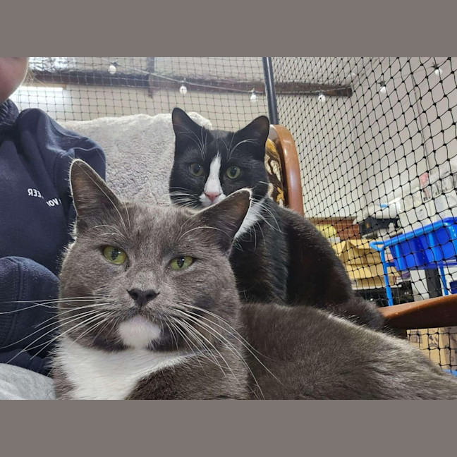 Photo of Tommy And Sammy