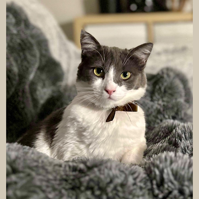 Photo of Rosie Dancer