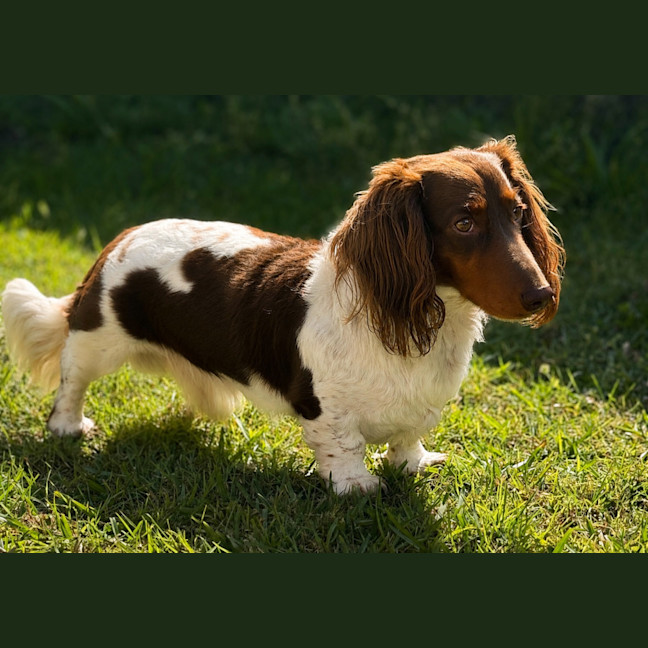 Photo of Pablo