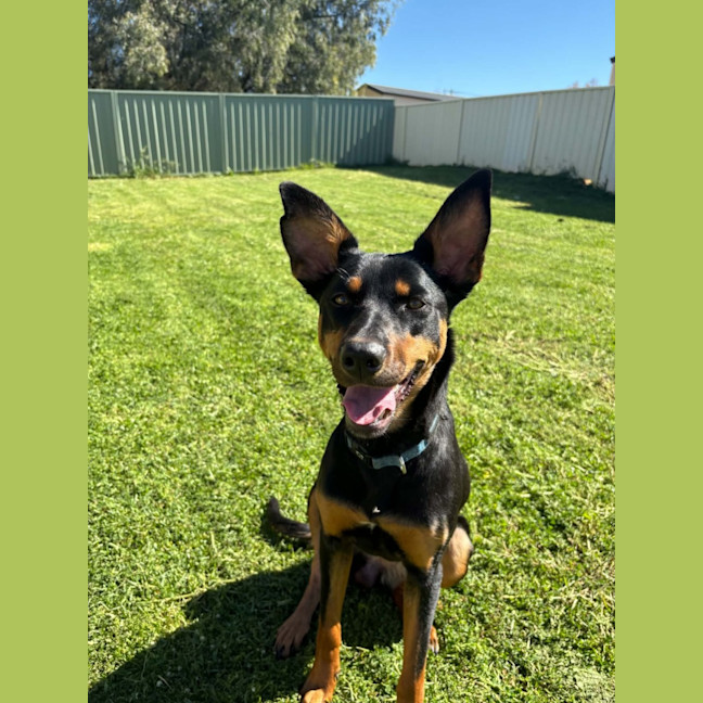 Photo of Oakley
