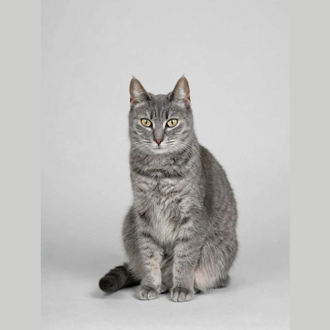 Photo of Tammy