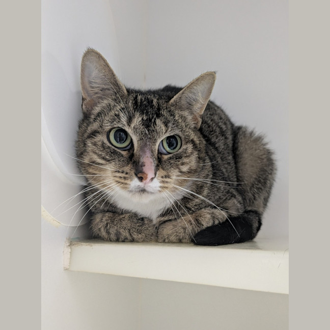 Photo of 🎊 Martha May 6710 🎊