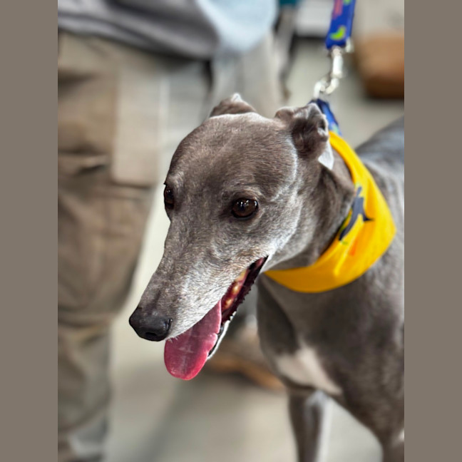 Photo of Winnie 