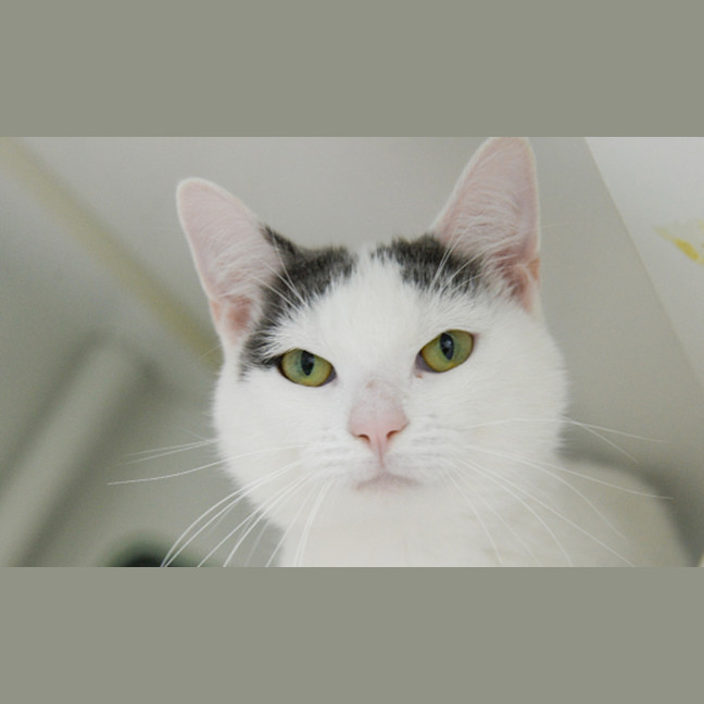 Photo of Mimi