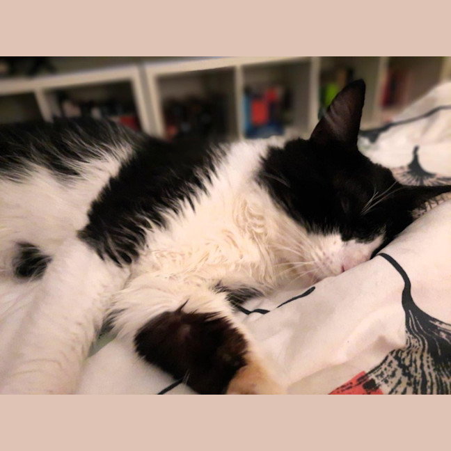 Photo of Dudley Kumara