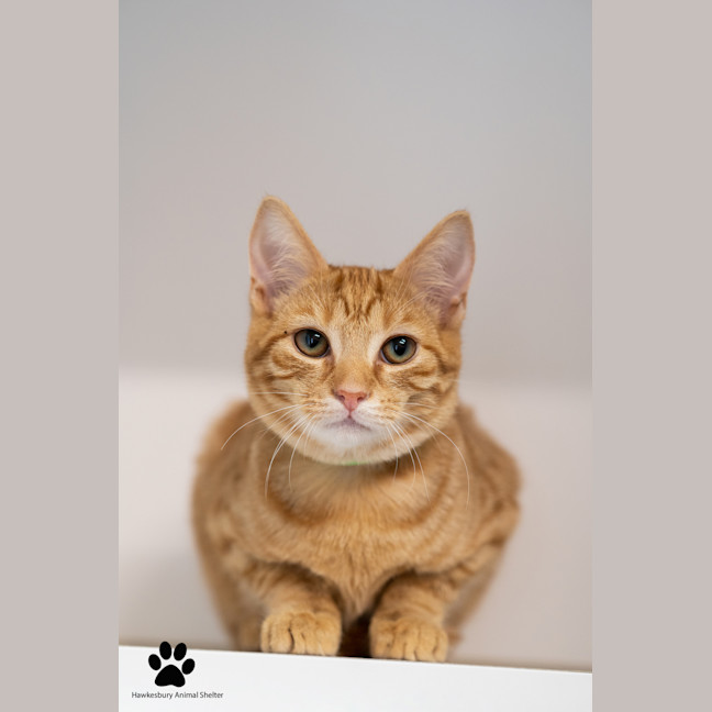 Photo of Velma