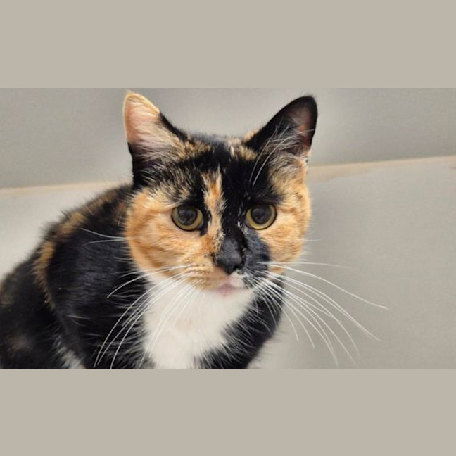 Photo of Esmeralda