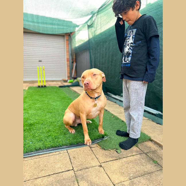Photo of Fawny