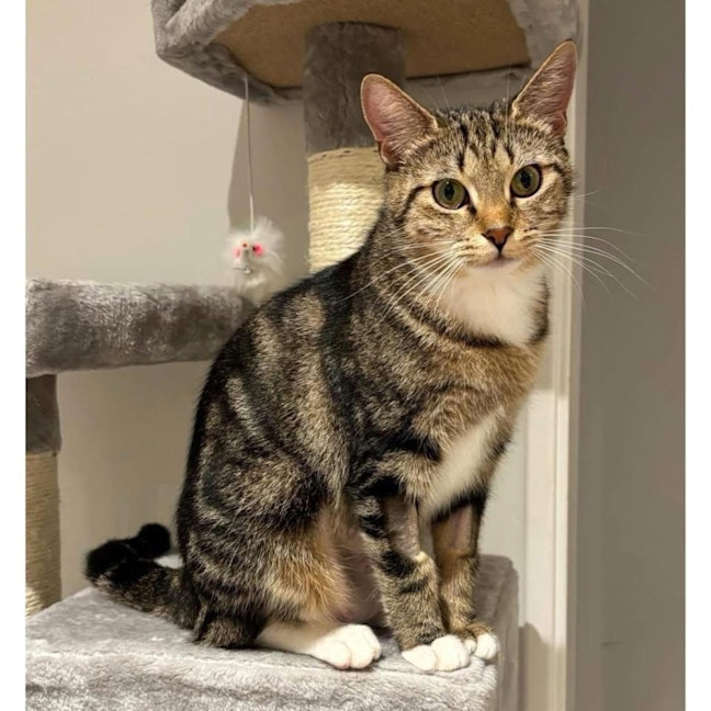 Photo of 12078   Mary