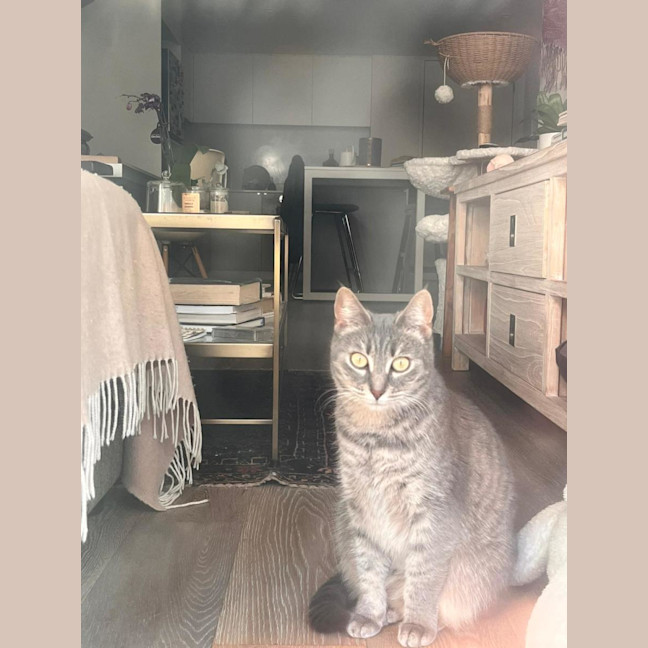 Photo of Tammy